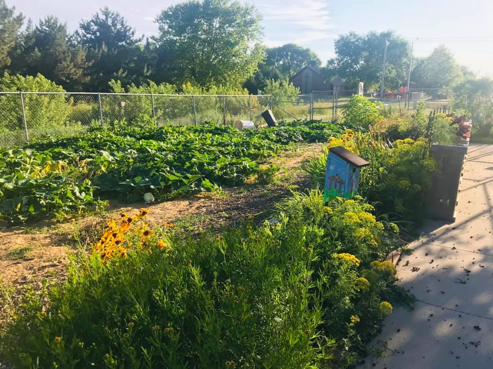 Community garden with fence in background. Raised bed on sidewalk. 