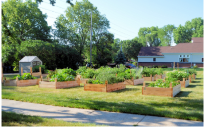 wooden raised garden beds on an open lot with a house in the background and shed on the left. 